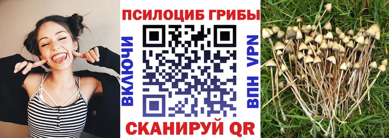 Псилоцибиновые грибы MAGIC MUSHROOMS хочу shop состав Ясногорск